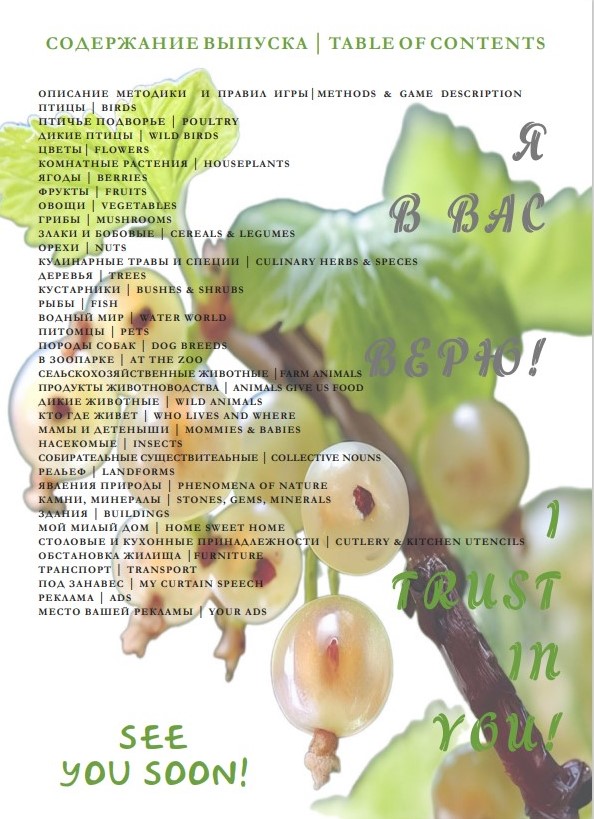 ���������� ����-�������� "�����" "Wild Berries & Garden Berries" / ��������� �� ����������� +79153319244 